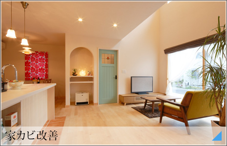 �ƃJ�r�����{�H����